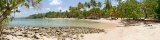 Anse Figuier Beach (Martinique)