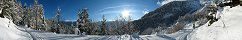 On mountain slope above Arzl (Tyrol, Austria)