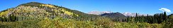 Aspen Glow from Trail Ridge Road (Rocky Mountain National Park, Colorado, USA)