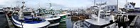 Trawlers in Grandcamp-Maisy Harbor (Calvados, France)