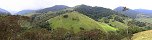 Cocora National Park near Salento (Colombia)