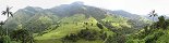 Cocora National Park near Salento (Colombia)