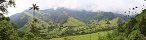 Cocora National Park near Salento (Colombia)