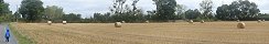 Bales of Rolled Hay in Grandcamp-Maisy (Calvados, France)