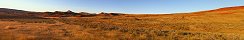 Buffalo Pasture in Hot Springs State Park (Thermopolis, Wyoming, USA)