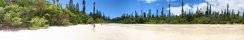 Sea branch at low tide on Pines Island (New Caledonia)