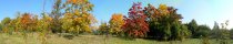 Trees in autumn near Louka u Litvinova (Czech Republic)