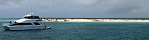 Michaelmas Cay, Great Barrier Reef (Queensland, Australia)