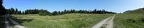 Near Mollendruz Pass in the Jura (Canton of Vaud, Switzerland)