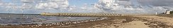 Seagulls on the Beach in Grandcamp-Maisy (Calvados, France)