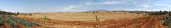 Ngorongoro Farm House Fields (Ngorongoro Conservation Area, Tanzania)