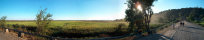 Rice fields path in Marovoay (Madagascar)