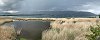 Reed Bed of Grande Cariaie Nature Preserve (Cheseaux-Noraz, Canton of Vaud, Switzerland)