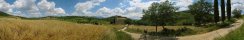 The pilgrim's way to Sant'Antimo (Near Montalcino, Toscana, Italy)