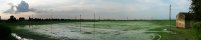 Rice paddies in the Po delta near Scardovari (Veneto, Italy)