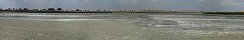 Dry lake bed in Serengeti (Tanzania)