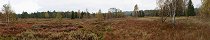 Tarnawa Wyzna Bog in Muczne (Bieszczady, Poland)