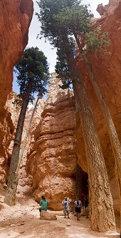 Click here to download wp_brycecanyon02.zip